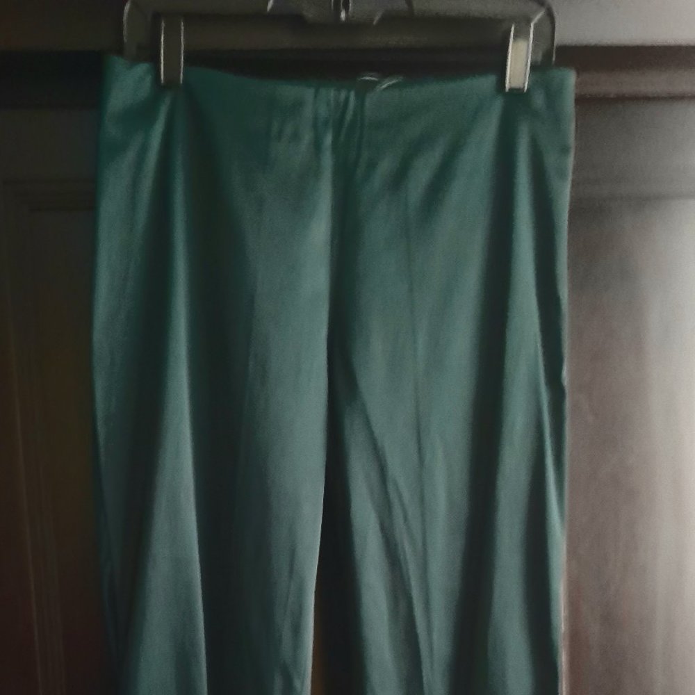 New Roberta Freymann Pants silky shiny Green Medium Carina Cigarette Pant